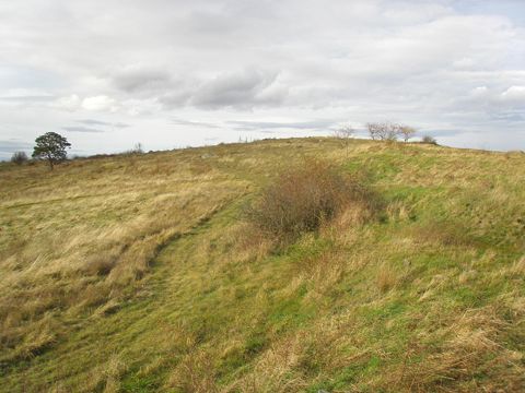 Foto 21